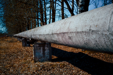 Similar image 21791131