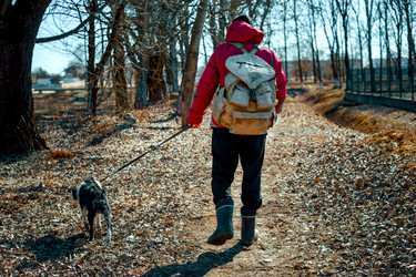 Similar image 21791135