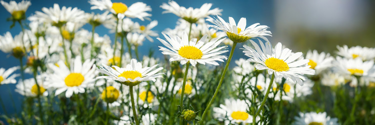 Similar image 21805135