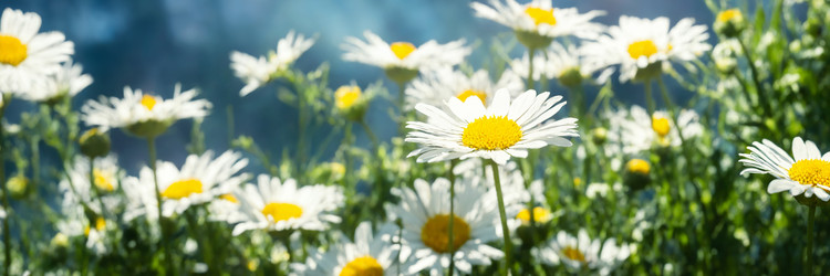 Similar image 21805137