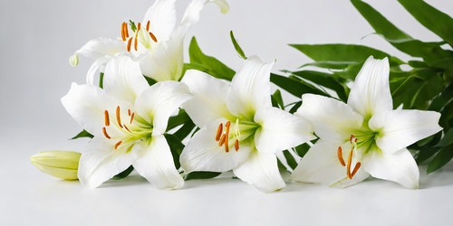 Similar image 21805138