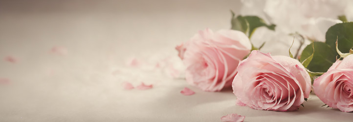 Similar image 21805139