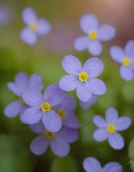 Similar image 21805141