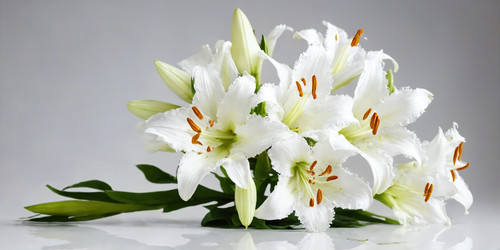 Similar image 21808065