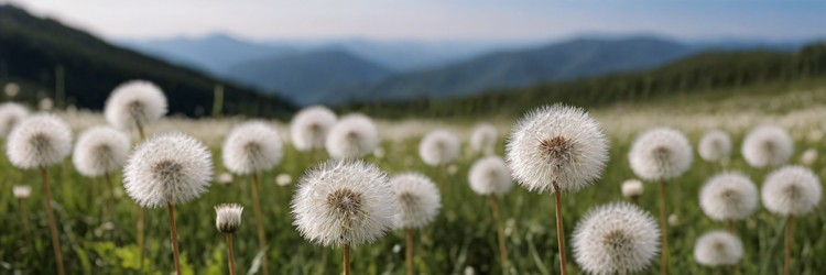 Similar image 21808066