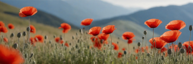 Similar image 21808069