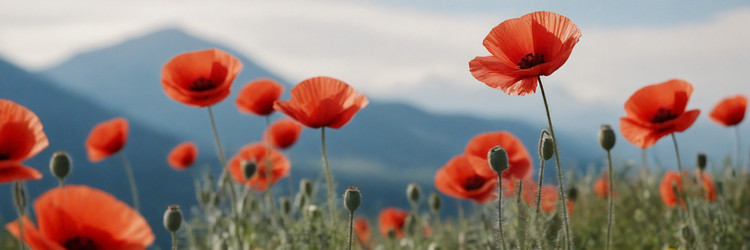 Similar image 21813095