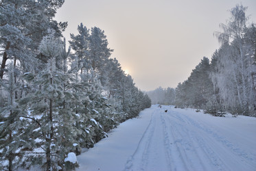 Similar image 21790917