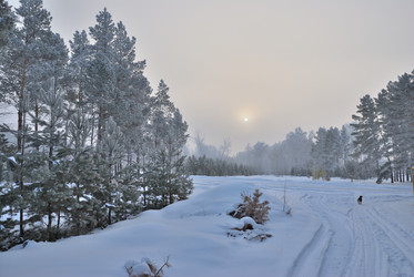 Similar image 21790921