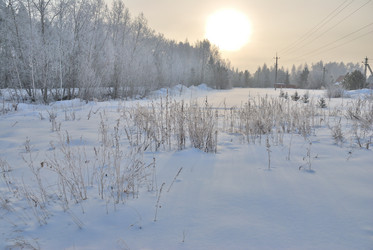 Similar image 21790939