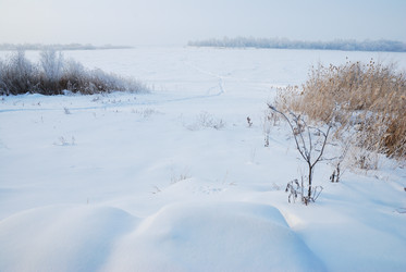 Similar image 21790945