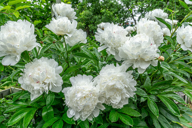 Similar image 21791354