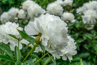 Similar image 21791355