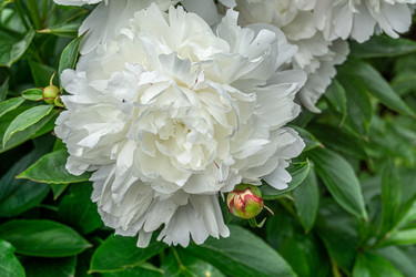 Similar image 21791357