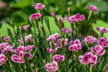 Similar image 21791361