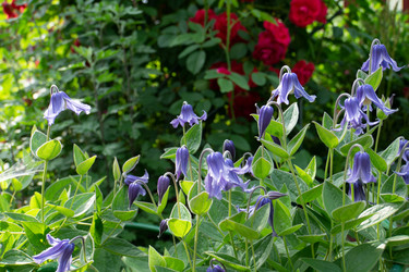 Similar image 21791365