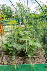 Similar image 21791367