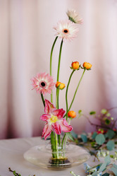 Similar image 21791178