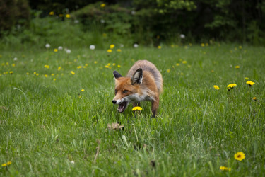 Similar image 21791179