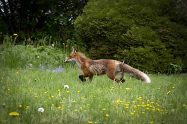 Similar image 21791180