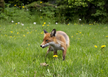 Similar image 21791181