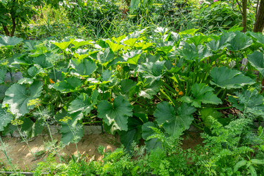 Similar image 21791310