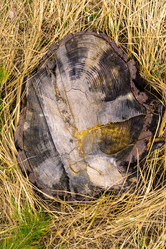 Similar image 21791311