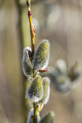 Similar image 21791314