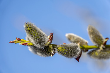 Similar image 21791315