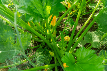 Similar image 21791375