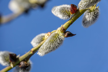 Similar image 21791376