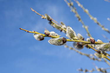 Similar image 21791377