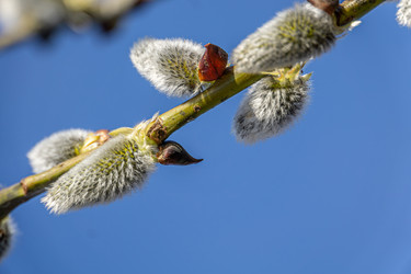 Similar image 21791378