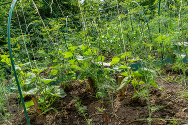 Similar image 21791379