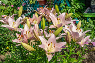 Similar image 21791384