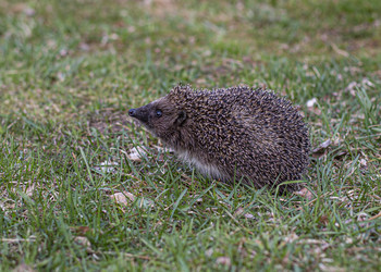 Similar image 21791201