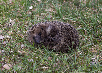 Similar image 21791202