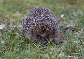 Similar image 21791203