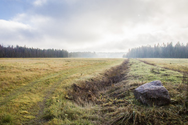 Similar image 21791211