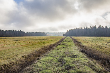 Similar image 21791212