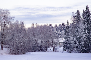 Similar image 21803300