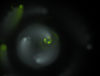 Similar image 21803908