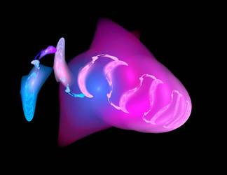 Similar image 21792342