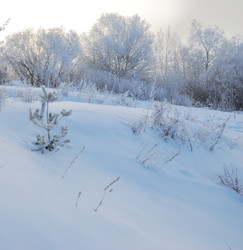 Similar image 21791232