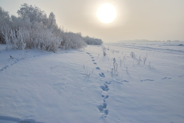 Similar image 21791243