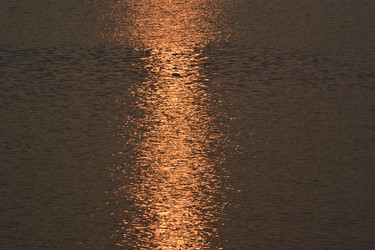 Similar image 21791248