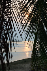 Similar image 21791260