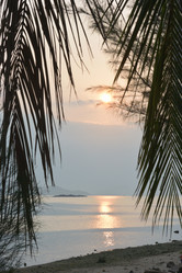 Similar image 21791261