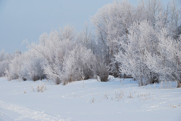 Similar image 21791263