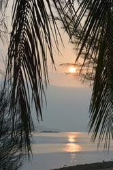 Similar image 21791264